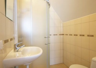 Apartamentai (2+1)